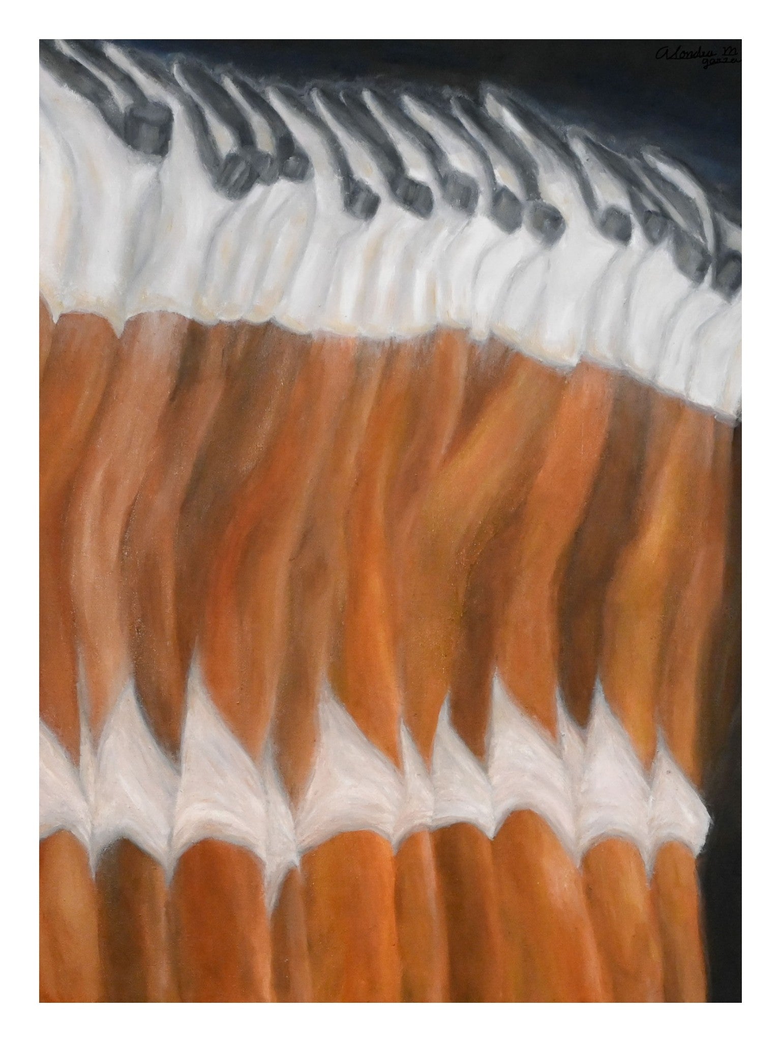 Dallas Cowgirl Cheerleaders