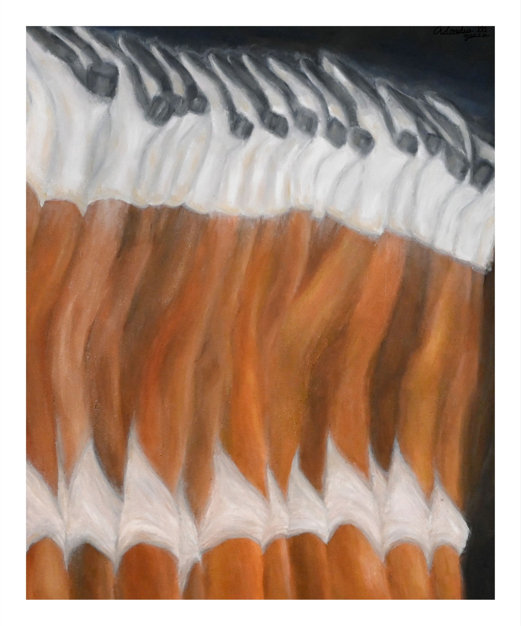 Dallas Cowgirl Cheerleaders